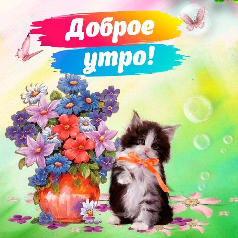 Открытка «Кот»: Доброе утро! Милая открытка с котенком. Тэги: животное, пожелание, утро, красивая, позитив, радость…
