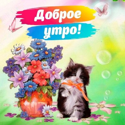 Открытка «Кот»: Доброе утро! Милая открытка с котенком. Тэги: животное, пожелание, утро, красивая, позитив, радость…