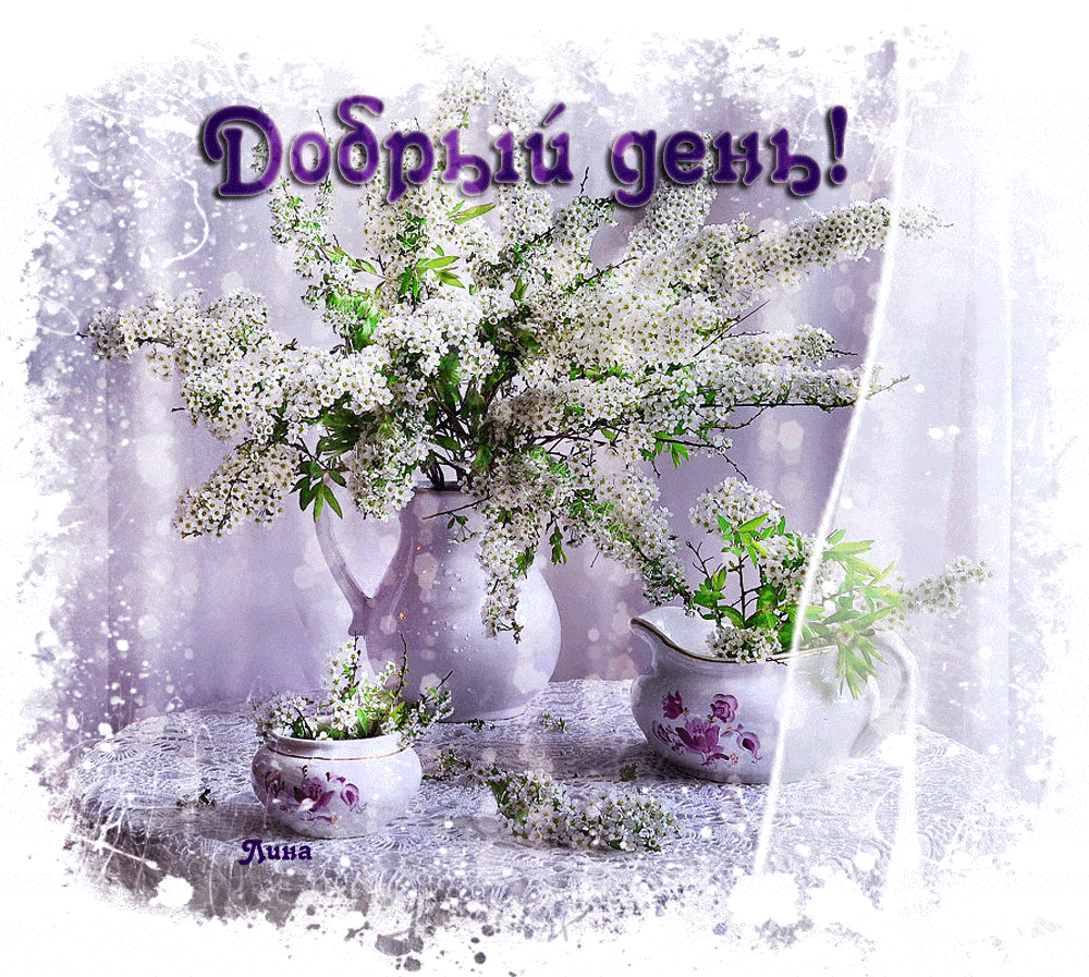 Открытка «Пожелание»: Добрый день! Нежная открытка с цветами. Тэги: красивая, позитив, радость, добрый день, цветок…