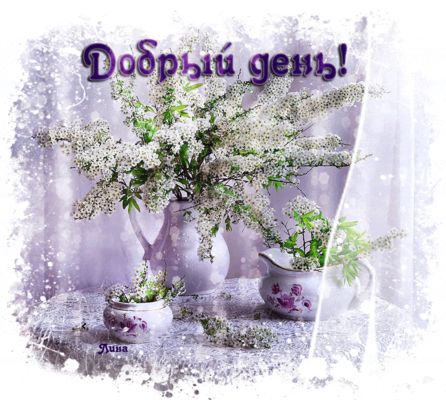 Открытка «Пожелание»: Добрый день! Нежная открытка с цветами. Тэги: красивая, позитив, радость, добрый день, цветок…