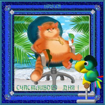 Открытка «Добрый день»: Счастливого дня! Позитивный кот и попугай. Тэги: анимационный, Добрый день и добрые пожелания…