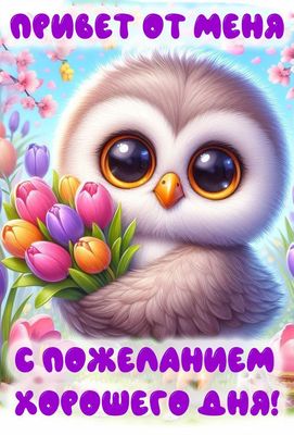 Открытка «Животное»: Хорошего дня! Привет с теплым пожеланием. Тэги: пожелание, улыбка, друг, подруга, красивая…