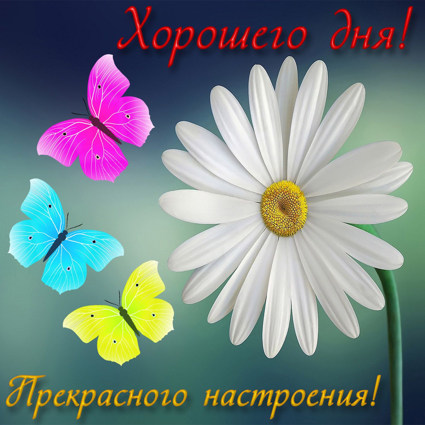 Открытка «Пожелание»: Хорошего дня и прекрасного настроения! Открытка. Тэги: улыбка, друг, подруга, красивая, позитив…