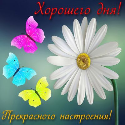 Открытка «Пожелание»: Хорошего дня и прекрасного настроения! Открытка. Тэги: улыбка, друг, подруга, красивая, позитив…