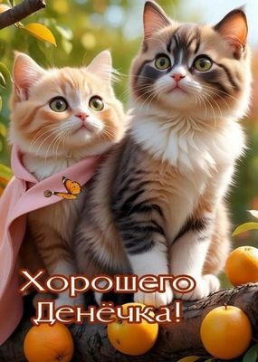 Открытка «Кот»: Хорошего Денёчка! Милые котята, яркая открытка с позитивом.. Тэги: пожелание, красивая, позитив…