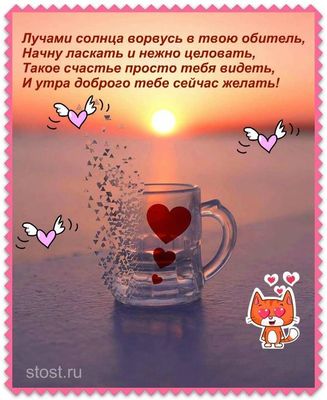 Открытка «Кот»: Доброе утро с солнцем и любовью!. Тэги: пожелание, утро, красивая, радость, сердце, настроение…