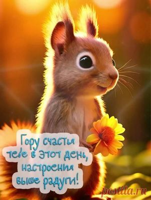 Открытка «Животное»: Пожелание счастья и отличного настроения с белкой. Тэги: пожелание, улыбка, красивая, позитив…
