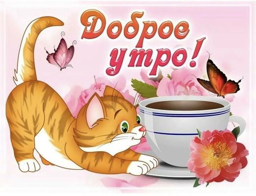 Открытка «Кот»: Доброе утро! Кот, кофе и цветы для хорошего настроения. Тэги: животное, пожелание, улыбка, утро…