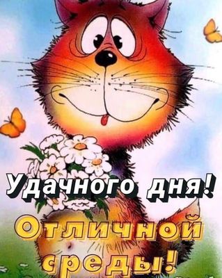 Открытка «Кот»: Удачного дня и Отличной среды! Котик с ромашками. Тэги: животное, пожелание, улыбка, позитив, радость…