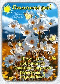 Открытка «Пожелание»: Отличного дня! Солнечное пожелание с цветами. Тэги: красивая, позитив, радость, цветок, настрое…