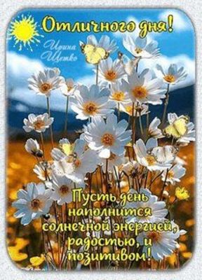 Открытка «Пожелание»: Отличного дня! Солнечное пожелание с цветами. Тэги: красивая, позитив, радость, цветок, настрое…