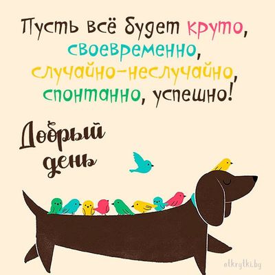 Открытка «Животное»: Добрый день! Пусть всё будет круто и успешно!. Тэги: пожелание, красивая, позитив, хорошее настр…