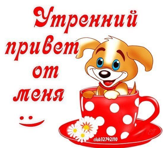 Открытка «Животное»: Утренний привет: милый щенок и хорошее настроение. Тэги: пожелание, улыбка, утро, друг, подруга…