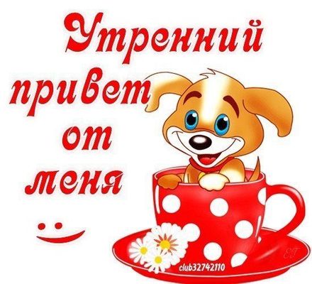 Открытка «Животное»: Утренний привет: милый щенок и хорошее настроение. Тэги: пожелание, улыбка, утро, друг, подруга…