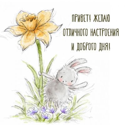 Открытка «Животное»: Отличного настроения и доброго дня! Милый зайчик. Тэги: пожелание, отличное настроение, утро…