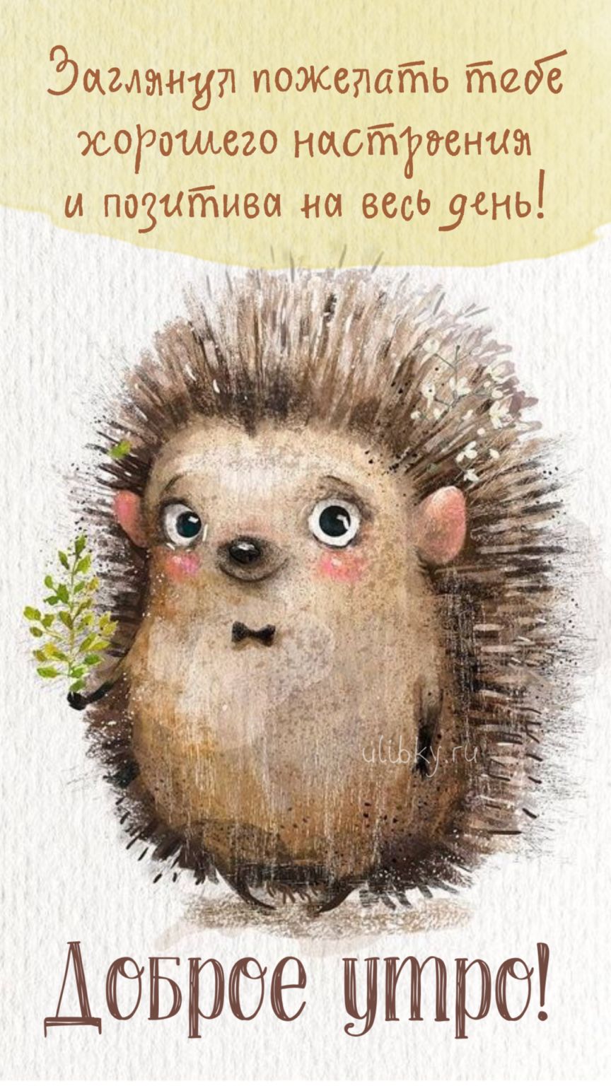 Открытка «Животное»: Забавный ежик желает доброго утра и хорошего настроения!. Тэги: пожелание, улыбка, утро, красивая…