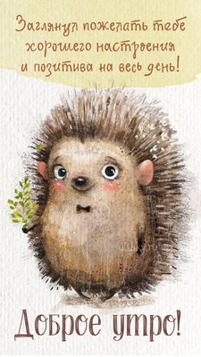 Открытка «Животное»: Забавный ежик желает доброго утра и хорошего настроения!. Тэги: пожелание, улыбка, утро, красивая…