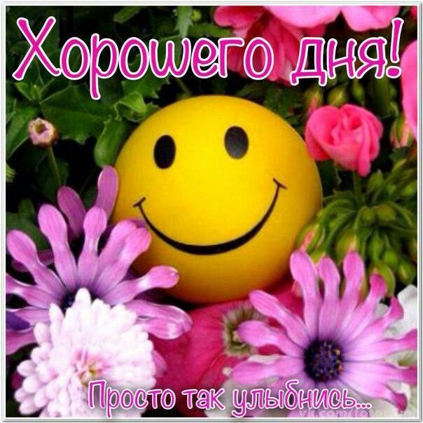 Открытка «Пожелание»: Хорошего дня! Улыбка и позитив для настроения. Тэги: улыбка, позитив, радость, цветок, настроен…