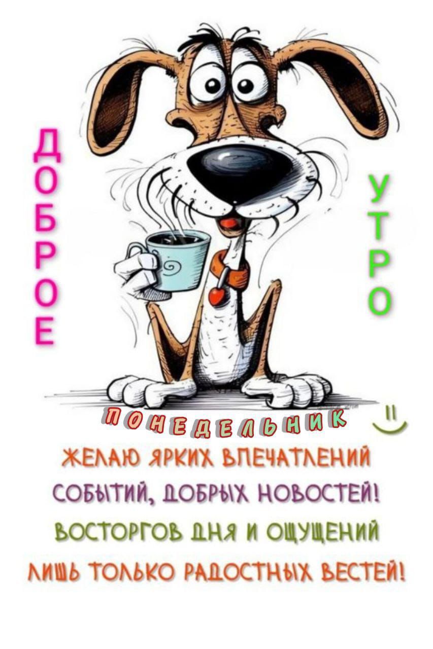 Открытка «Животное»: Доброе утро, понедельник! Пожелание позитива. Тэги: пожелание, утро, друг, красивая, кофе…