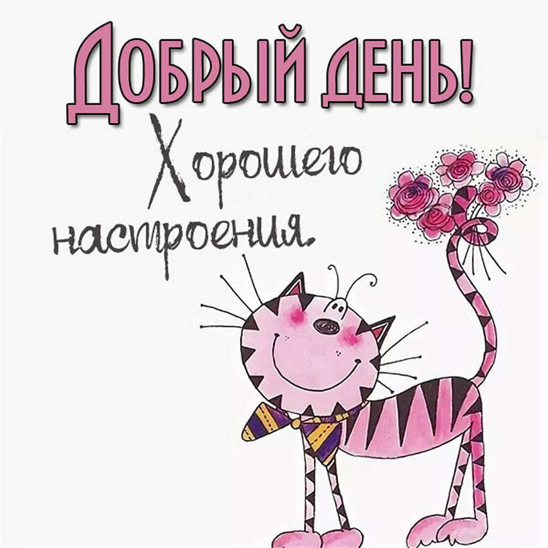 Открытка «Кот»: Добрый день и хорошее настроение! Милая открытка с котом. Тэги: животное, пожелание, прикольная…