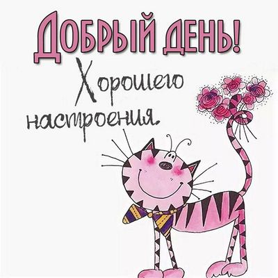 Открытка «Кот»: Добрый день и хорошее настроение! Милая открытка с котом. Тэги: животное, пожелание, прикольная…