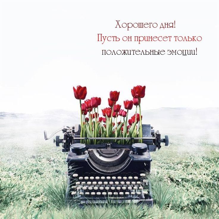 Открытка «Пожелание»: Хорошего дня! Позитивные эмоции и тюльпаны. Тэги: улыбка, красивая, позитив, радость, цветок…