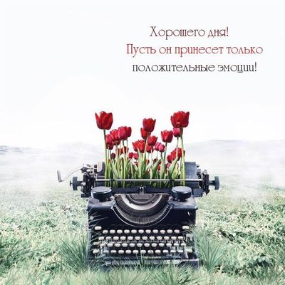 Открытка «Пожелание»: Хорошего дня! Позитивные эмоции и тюльпаны. Тэги: улыбка, красивая, позитив, радость, цветок…