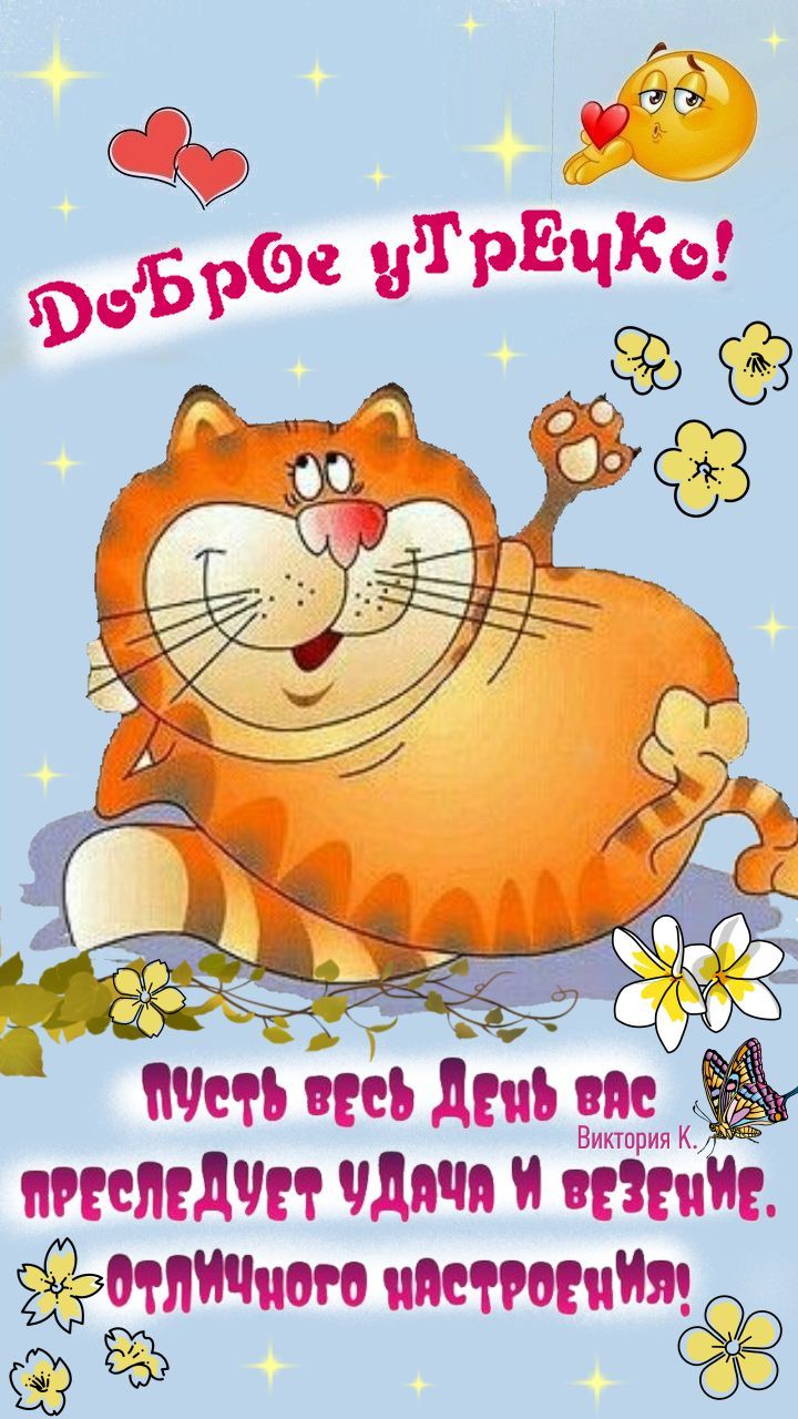 Открытка «Кот»: Доброе утречко! Удача и отличное настроение на весь день. Тэги: пожелание, отличное настроение…