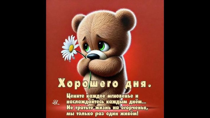 Открытка «Добрый день»: Хорошего дня! Милый медведь с ромашкой и мудрым пожеланием. Тэги: классный, Добрый день и доб…