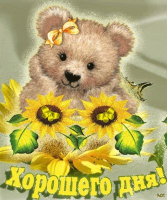 Открытка «Животное»: Хорошего дня! Милая открытка с плюшевым мишкой и подсолнухами. Тэги: пожелание, улыбка, красивая…