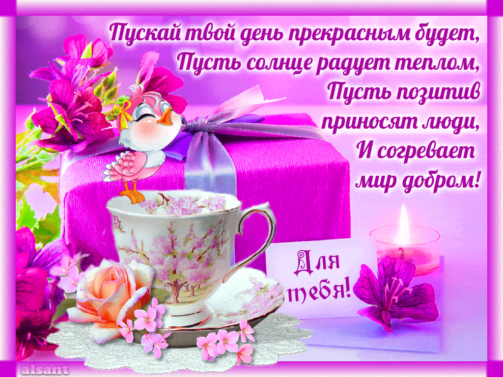 Открытка «Пожелание»: Прекрасный день и позитив: теплое пожелание с добром!. Тэги: красивая, позитив, радость, цветок…