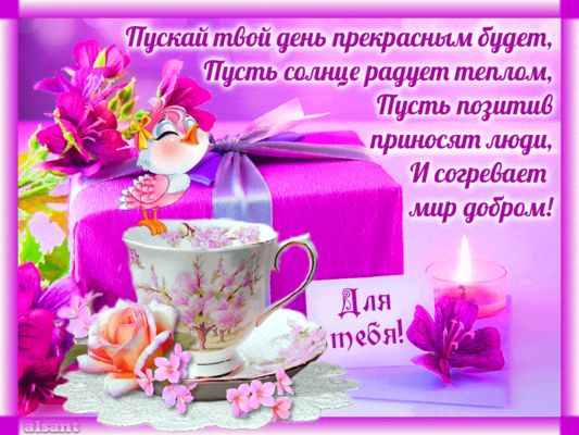 Открытка «Пожелание»: Прекрасный день и позитив: теплое пожелание с добром!. Тэги: красивая, позитив, радость, цветок…