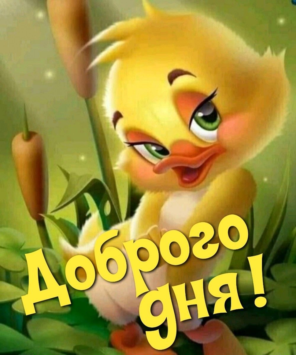 Открытка «Животное»: Чудесного дня! Яркий утенок для хорошего настроения. Тэги: улыбка, позитив, хорошее настроение…