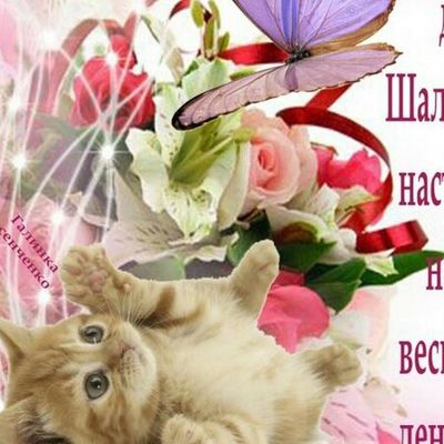 Открытка «Кот»: Чудесное настроение: котенок, бабочка, цветы. Тэги: улыбка, красивая, позитив, хорошее настроение…