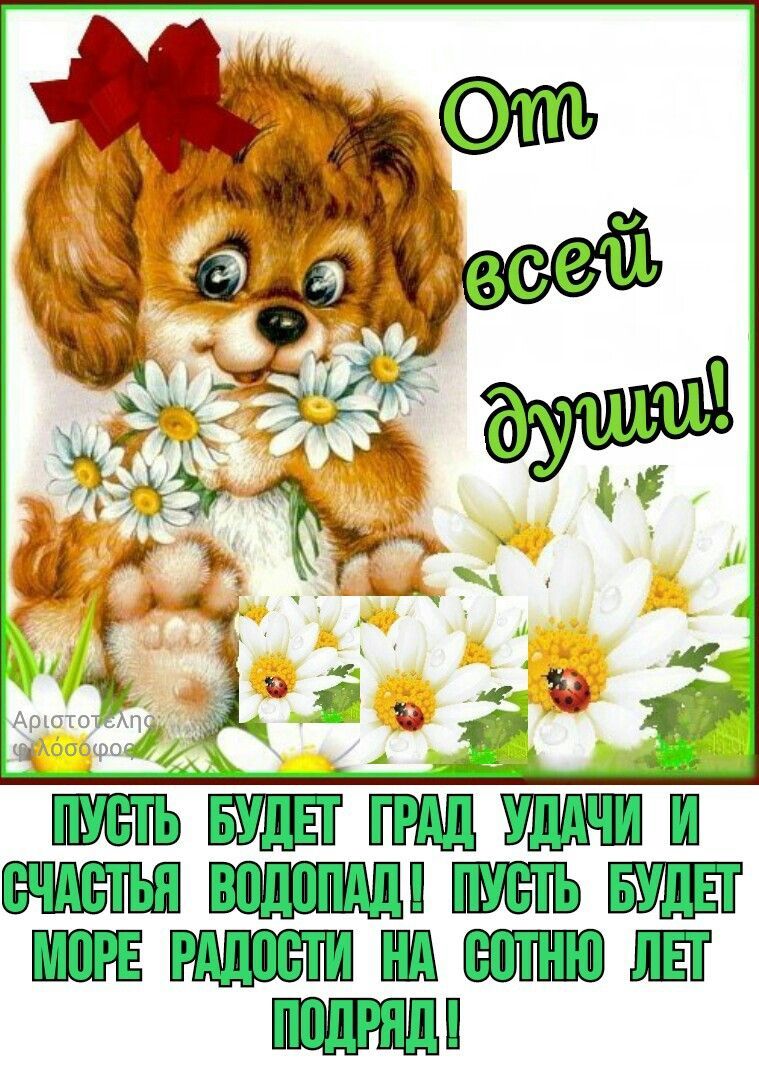 Открытка «Животное»: От всей души! Пожелание удачи, счастья и радости. Тэги: пожелание, улыбка, красивая, позитив…