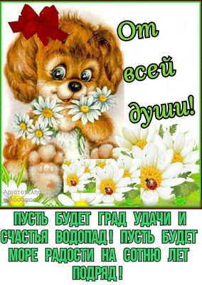 Открытка «Животное»: От всей души! Пожелание удачи, счастья и радости. Тэги: пожелание, улыбка, красивая, позитив…