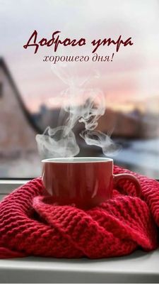 Открытка «Пожелание»: Доброго утра и хорошего дня!. Тэги: шарф, утро, друг, подруга, кофе, позитив, хорошее настроение…