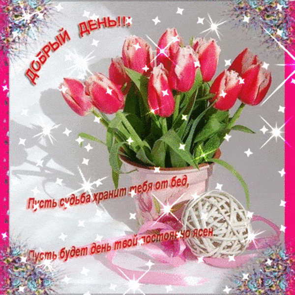 Открытка «Пожелание»: Добрый день: яркий букет тюльпанов с пожеланием. Тэги: красивая, позитив, хорошее настроение…