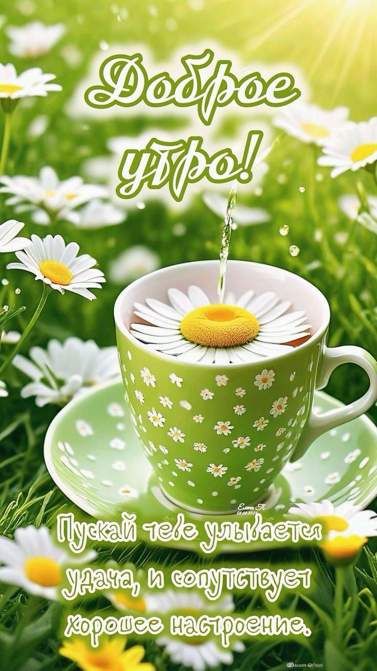 Открытка «Пожелание»: Доброе утро! Удачного дня и хорошего настроения. Тэги: утро, красивая, позитив, хорошее настрое…