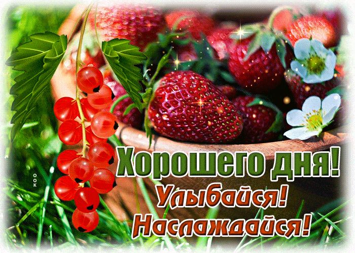 Открытка «Пожелание»: Хорошего дня! Яркие ягоды для отличного настроения. Тэги: улыбка, красивая, радость, цветок…