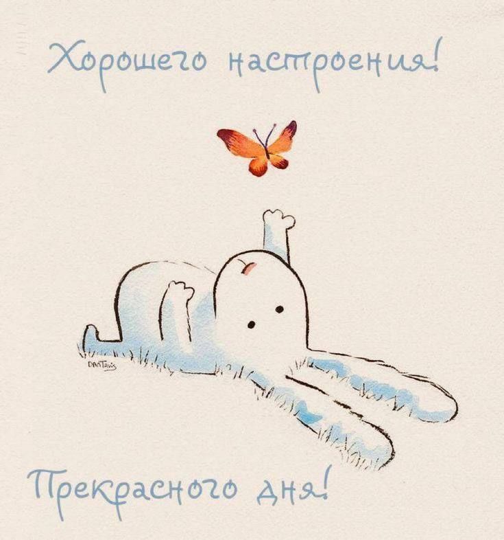 Открытка «Добрый день»: Прекрасного дня и хорошего настроения!. Тэги: Добрый день и добрые пожелания, Добрый день…