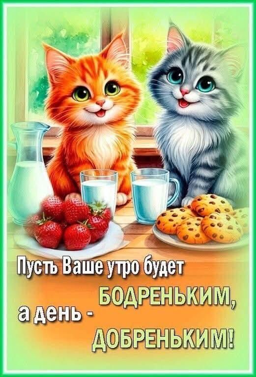 Открытка «Кот»: Пусть утро будет бодреньким, а день добреньким! Котята. Тэги: животное, пожелание, улыбка, утро…