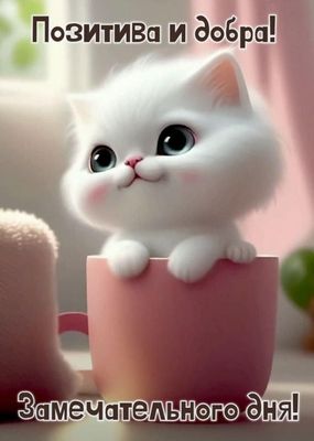 Открытка «Кот»: Позитива и добра: Замечательного дня!. Тэги: животное, пожелание, улыбка, красивая, позитив, хорошее…