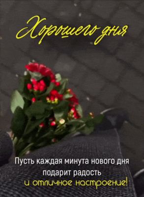 Открытка «Хорошего дня»: Хорошего дня и отличного настроения. Тэги: пожелание, отличное настроение, улыбка, красивая…