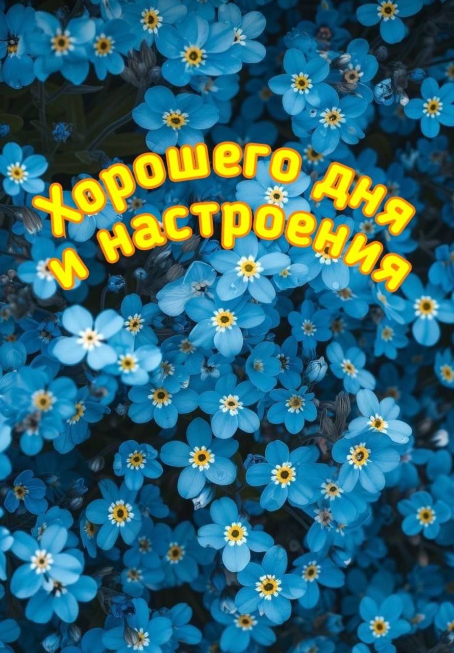 Открытка «Хорошего дня»: Хорошего дня и настроения! Пожелание с цветами. Тэги: пожелание, красивая, позитив, радость…