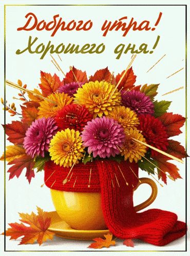 Открытка «Пожелание»: Доброе утро! Хорошего дня! Осенний букет. Тэги: шарф, утро, красивая, позитив, радость, цветок…