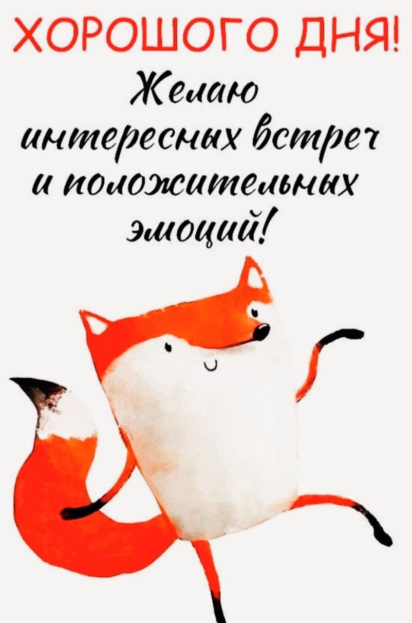Открытка «Животное»: Хорошего дня! Желаю интересных встреч и эмоций. Тэги: пожелание, улыбка, красивая, позитив…