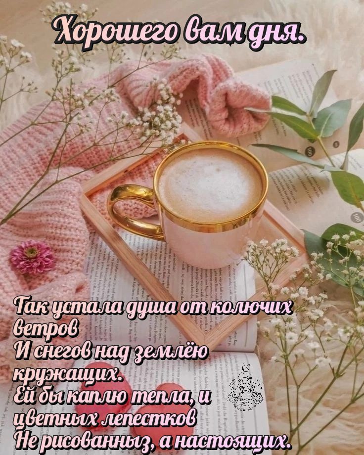 Открытка «Хорошего дня»: Хорошего дня! Теплое пожелание со смыслом и кофе. Тэги: пожелание, утро, мужчина, женщина…