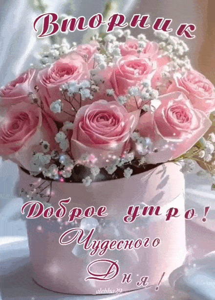 Открытка «Пожелание»: Доброе утро Вторник! Чудесного дня и роз. Тэги: красивая, позитив, радость, цветок, нежная…