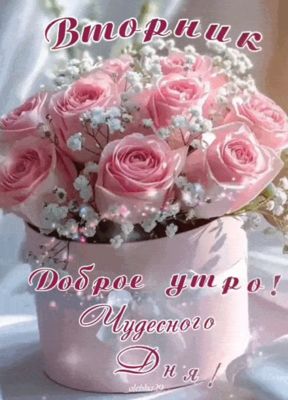 Открытка «Пожелание»: Доброе утро Вторник! Чудесного дня и роз. Тэги: красивая, позитив, радость, цветок, нежная…